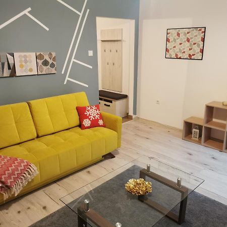 Apartament Downtown Apartment Cluj-Napoca Ngoại thất bức ảnh